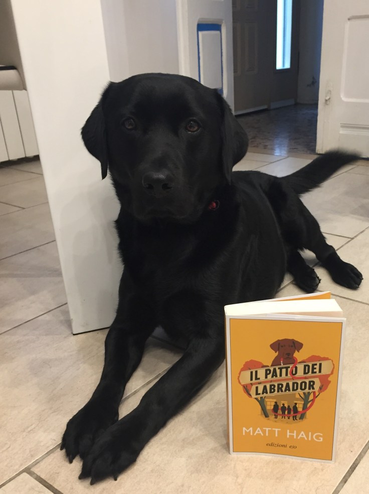 Il patto dei Labrador